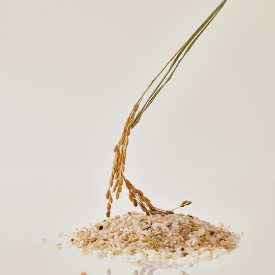 Brightening Skin Prep Essence Pad