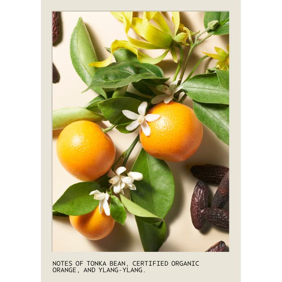 Cherry Almond Conditioner