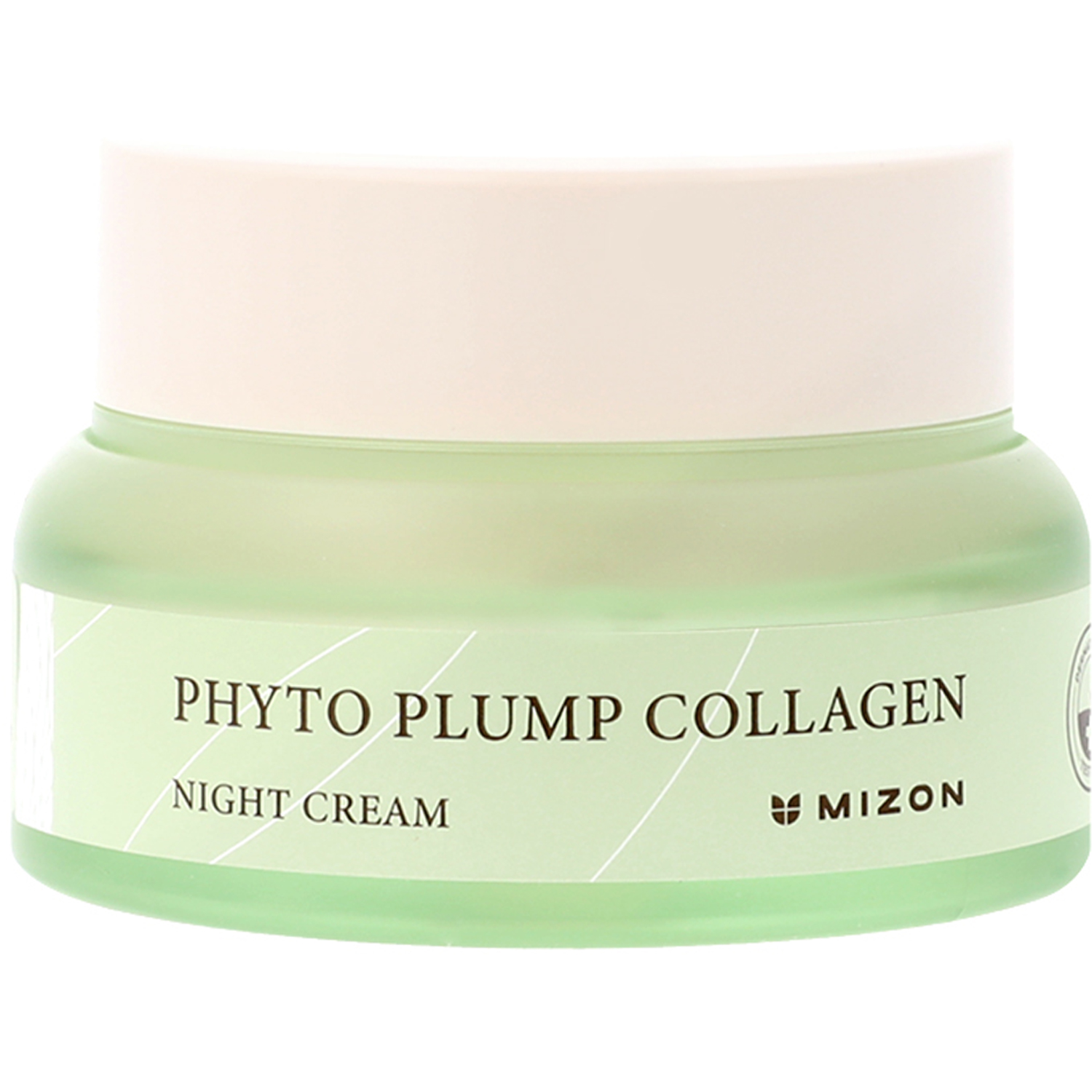 Phyto Plump Collagen Night Cream