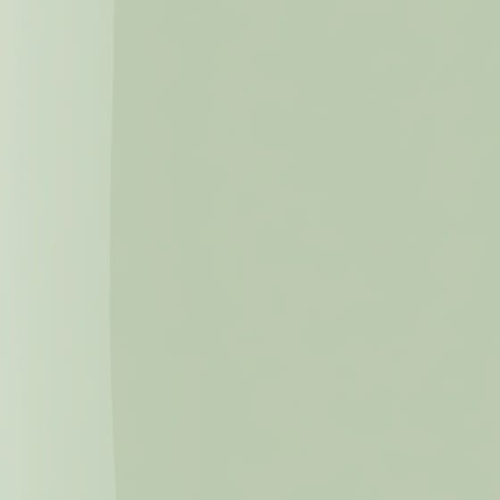 The Wonder Nail Polish Quick Dry & Longwear