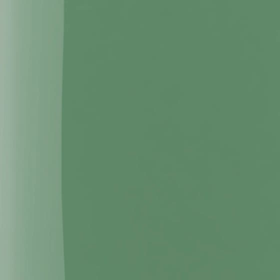 The Wonder Nail Polish Quick Dry & Longwear